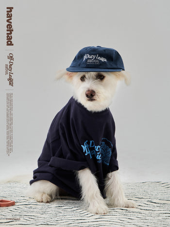 ODL Logo Soft Flat Cap (Lemon)