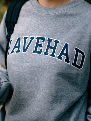 Classic Slab Logo Sweatshirts (Melange Gray)